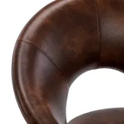 Kiara Chair+ Leather Chair + liqana