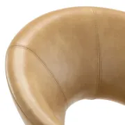 Kiara Chair+ Leather Chair + liqana