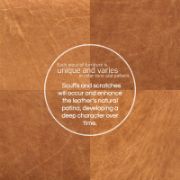 Luxor Armchair + Leather + liqana