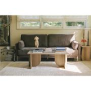 Silva Table + Coffee Table + liqana