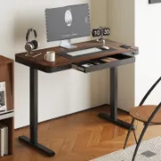 Rawasi Desk + Electric Height Adjustable Desk + liqana