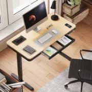 Rawasi Desk + Electric Height Adjustable Desk + liqana