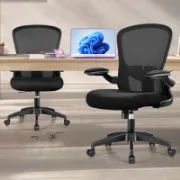 Lumora Chair furniture liqana