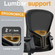 Lumora Chair furniture liqana