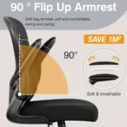 Lumora Chair furniture liqana