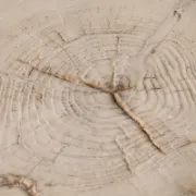 Nesma Set furniture liqana